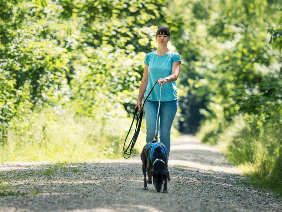 Mantrailing im Würmtal